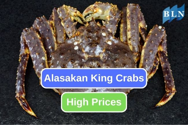 Unraveling the Pricey Secrets of Alaskan King Crab